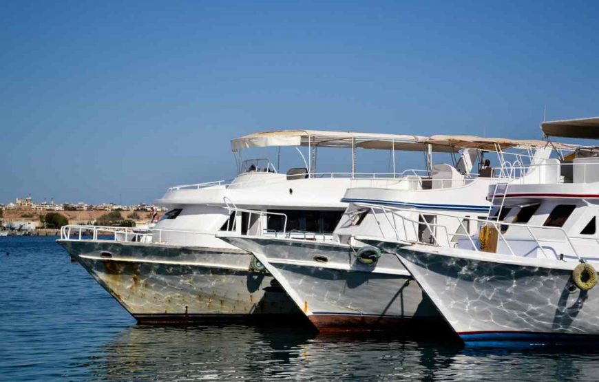 Ras Mohamed snorkeling trip from Sharm El Sheikh by Boat