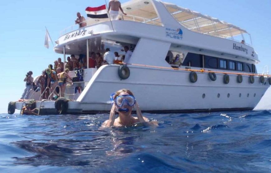 Ras Mohamed snorkeling trip from Sharm El Sheikh by Boat