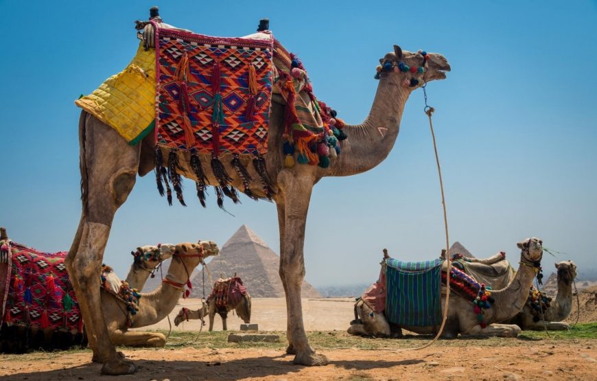 Cairo and Sharm El Sheikh Cheap Tours