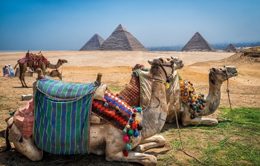 Safari and Cairo Short Breaks